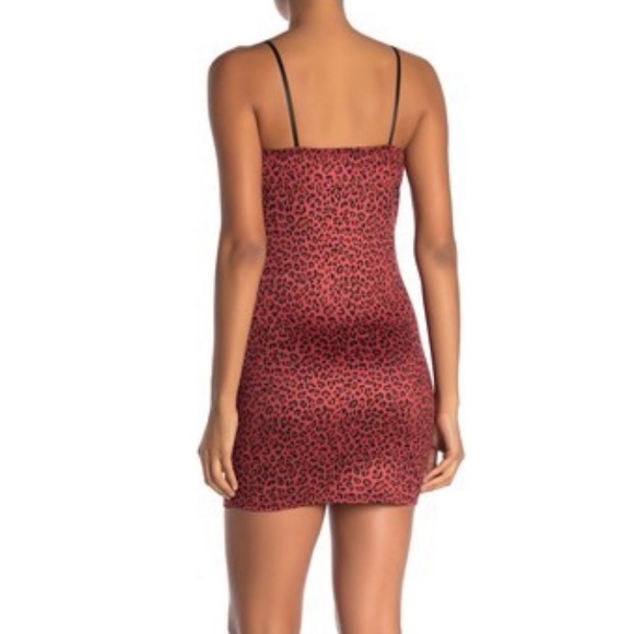 Wild honey mini dress NWT - Picture 4 of 7